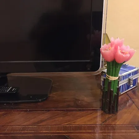 Palazzo Di Appartement Saluces